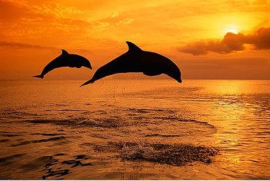 《如龙8》娱乐场所介绍：成年人的娱乐让人欲罢不能