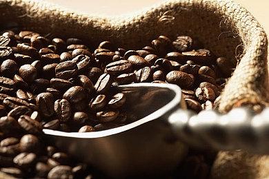 《发条革命》灵感来自《吸血鬼：避世之血族》